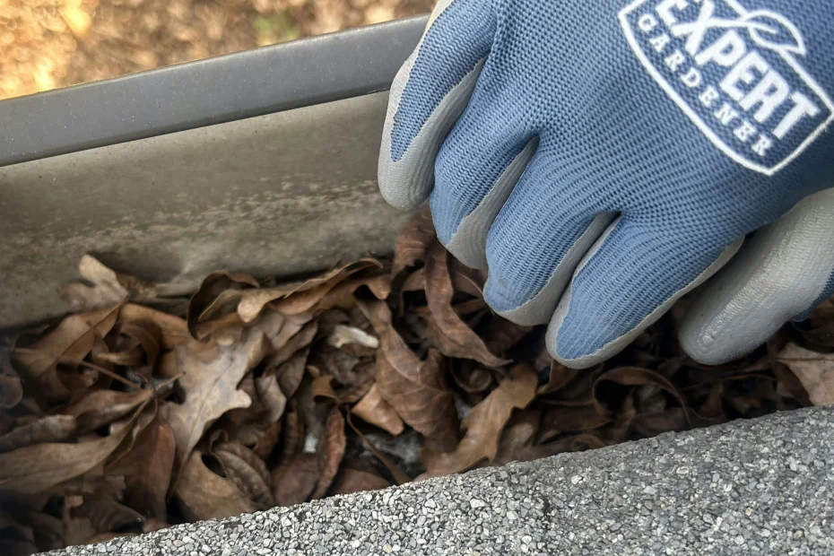 Gutter Cleaning Green Hill TN