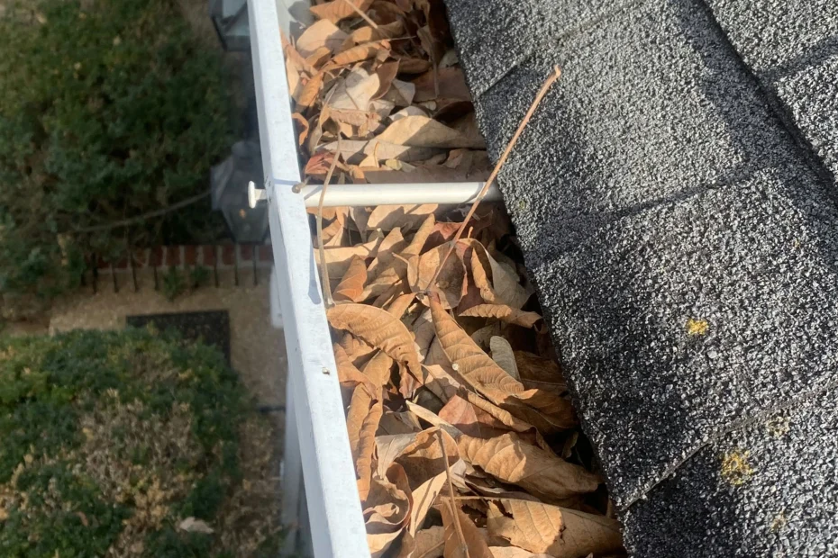 Gutter Cleaning Green Hill TN