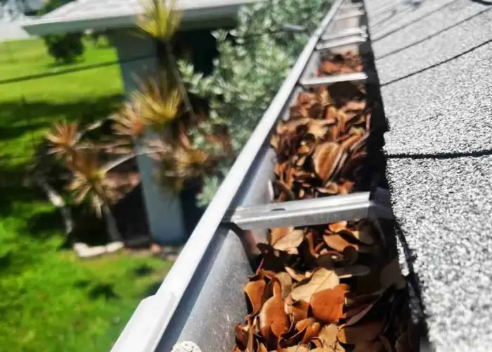 Gutter Cleaning Green Hill TN home page